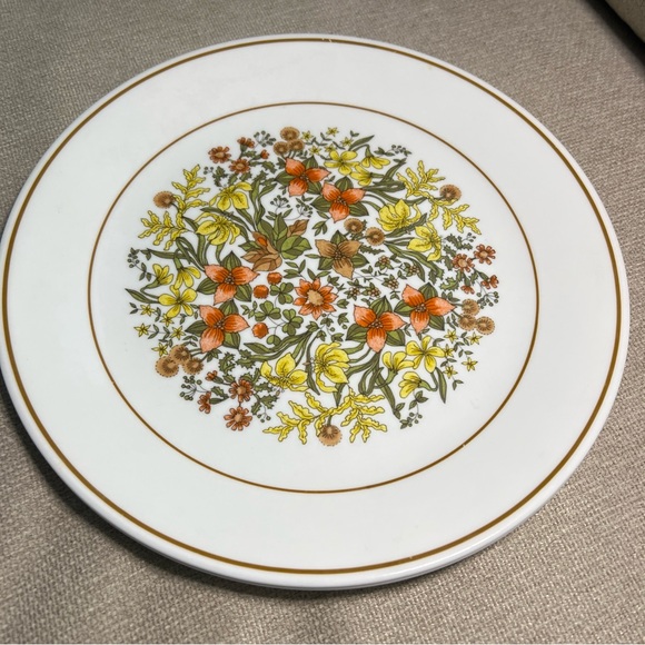Lot Of 2 Vintage Corelle 10 1/4" INDIAN SUMMER Dinner Plates - Picture 5 of 6